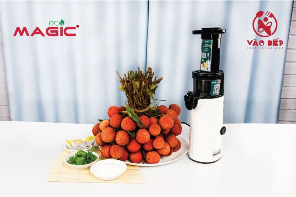 Hướng dẫn làm Trà vải thanh lọc cơ thể bằng Máy ép chậm thế hệ mới Magic Eco AC – 132 2 trà vải