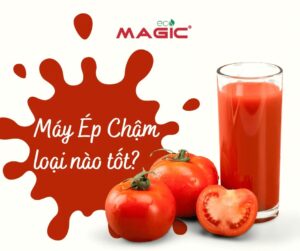 Máy Ép Chậm Loại Nào Tốt: Kinh Nghiệm Chọn Máy 27