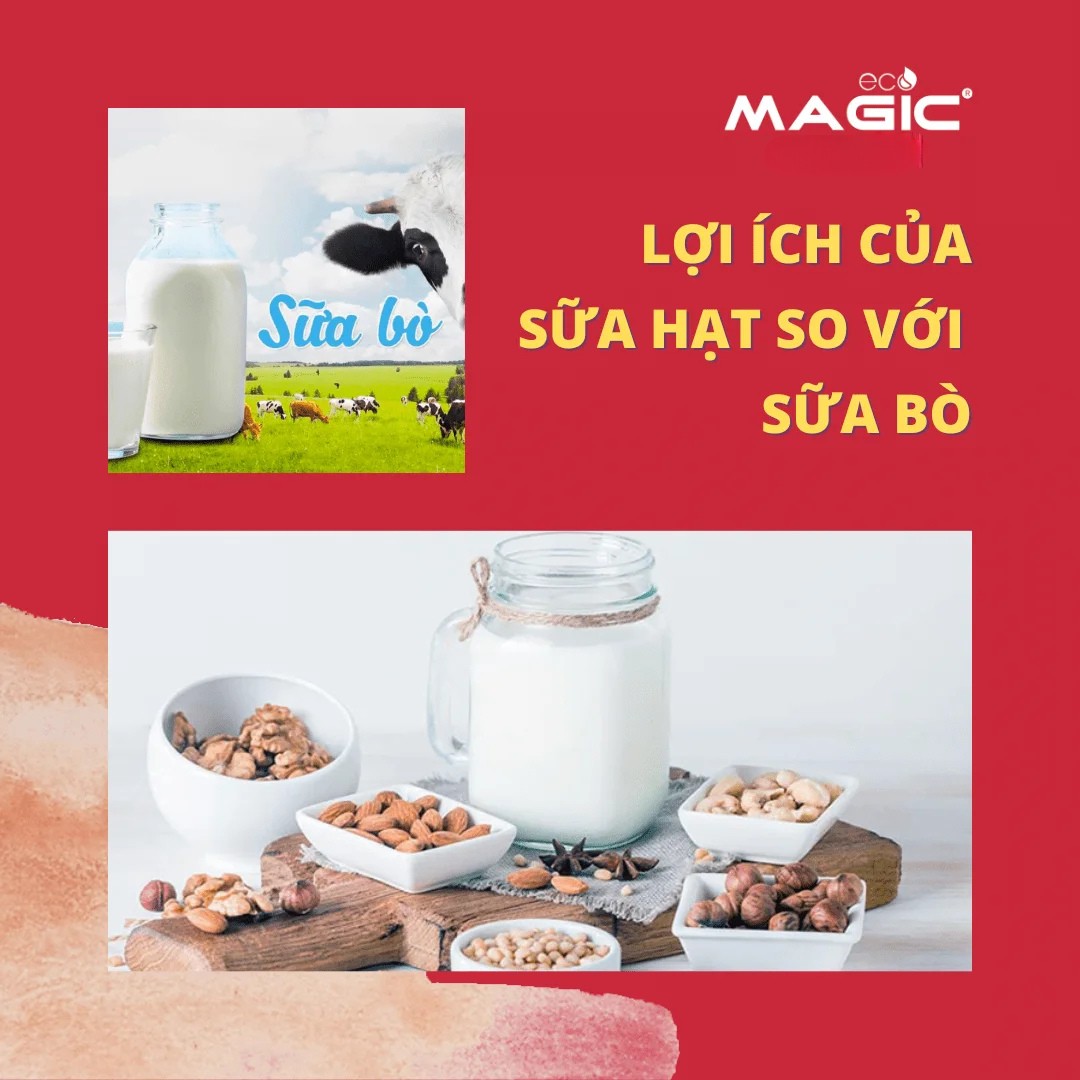 Có Nên Mua Máy Làm Sữa Hạt? 11 Điều Cần Biết Trước Khi Mua 1
