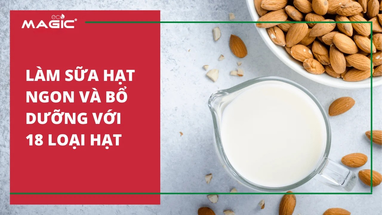Hướng Dẫn Cách Sử Dụng Máy Làm Sữa Hạt Từ A-Z 1 Hướng Dẫn Cách Sử Dụng Máy Làm Sữa Hạt Từ A-Z 1