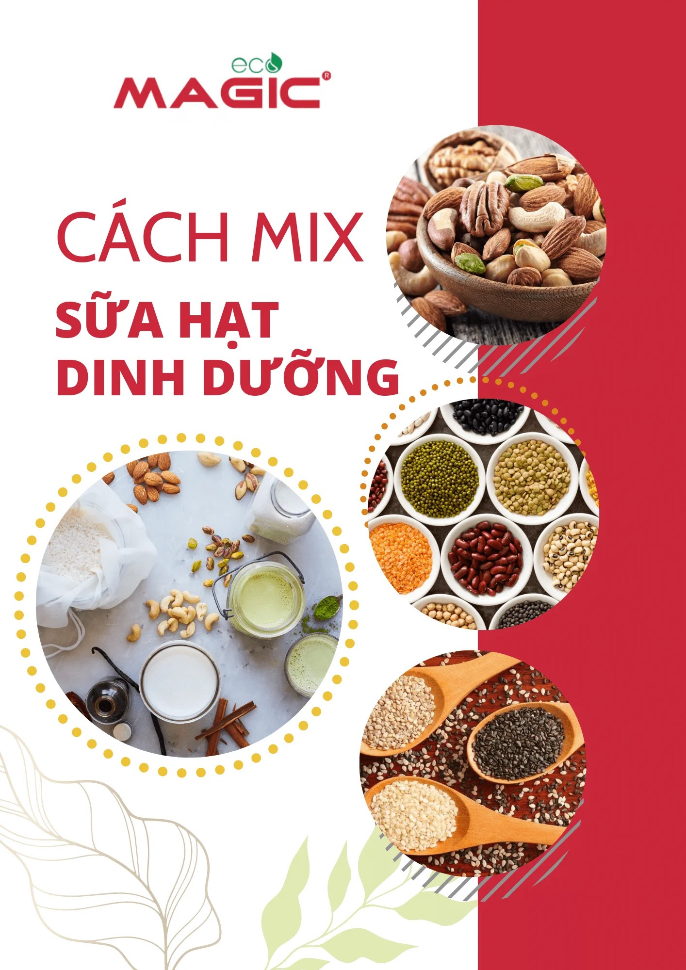 Hướng Dẫn Cách Sử Dụng Máy Làm Sữa Hạt Từ A-Z 4 Hướng Dẫn Cách Sử Dụng Máy Làm Sữa Hạt Từ A-Z 4