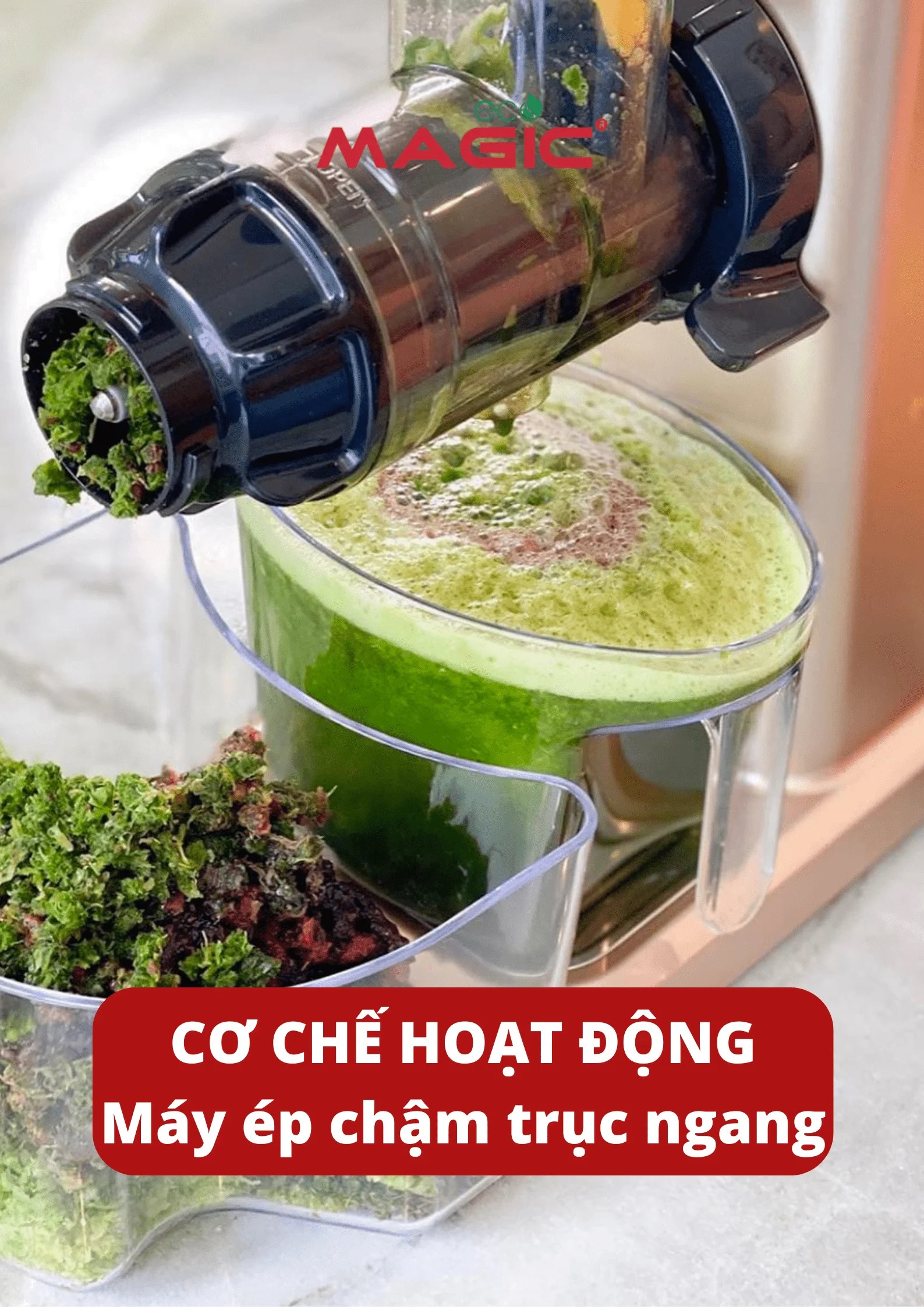 Máy Ép Chậm Trục Ngang Là Gì: Giá, Ưu Điểm, Nhược Điểm 2
