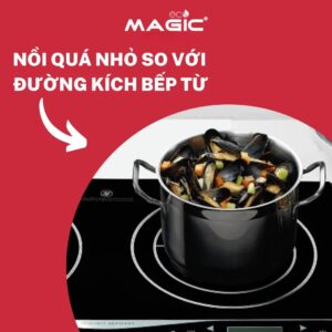 5 Lưu Ý Khi Mua Nồi Nấu Bếp Điện Từ, Mua Loại Nào 74