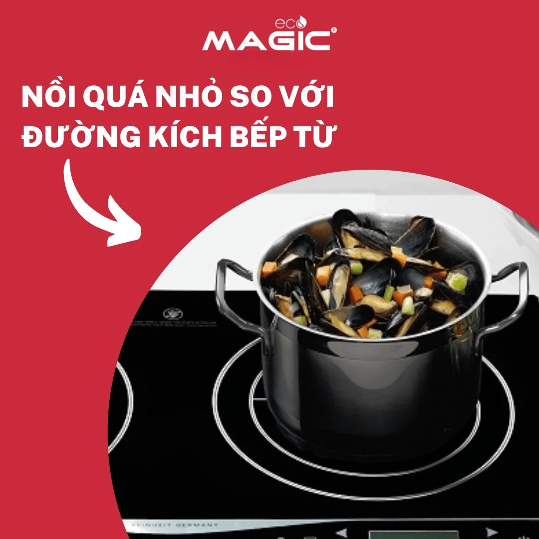 5 Lưu Ý Khi Mua Nồi Nấu Bếp Điện Từ, Mua Loại Nào 2