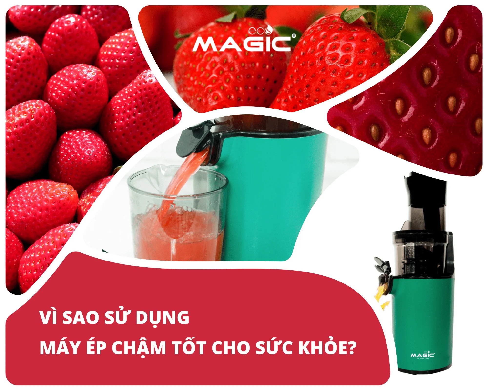 So Sánh: Nên Mua Máy Ép Chậm Hay Nhanh 3