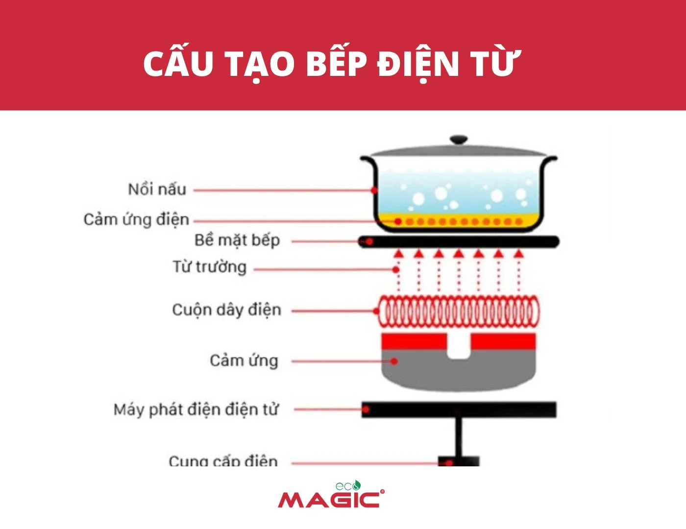 Bếp Từ Và Bếp Hồng Ngoại Giống Nhau Không? Mua Loại Nào 2 Bếp Từ Và Bếp Hồng Ngoại Giống Nhau Không? Mua Loại Nào 2