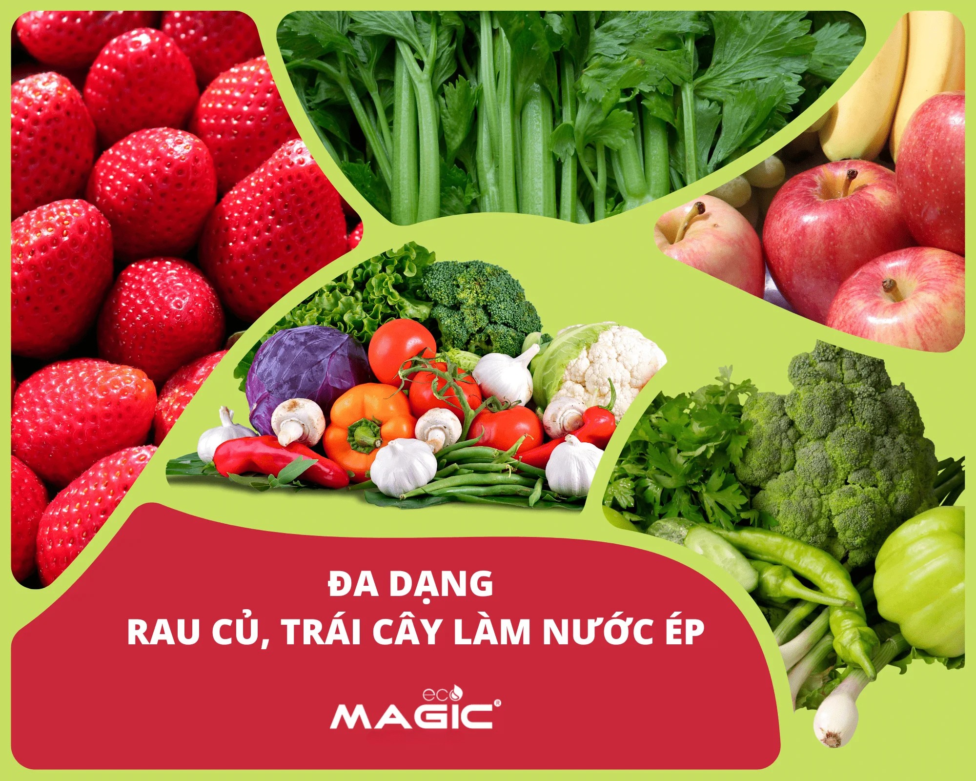 Cách Sử Dụng Máy Ép Chậm Đúng Cách Và Hiệu Quả 1 Cách Sử Dụng Máy Ép Chậm Đúng Cách Và Hiệu Quả 1