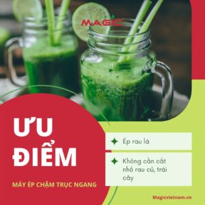 Máy Ép Chậm Trục Ngang Là Gì: Giá, Ưu Điểm, Nhược Điểm 59