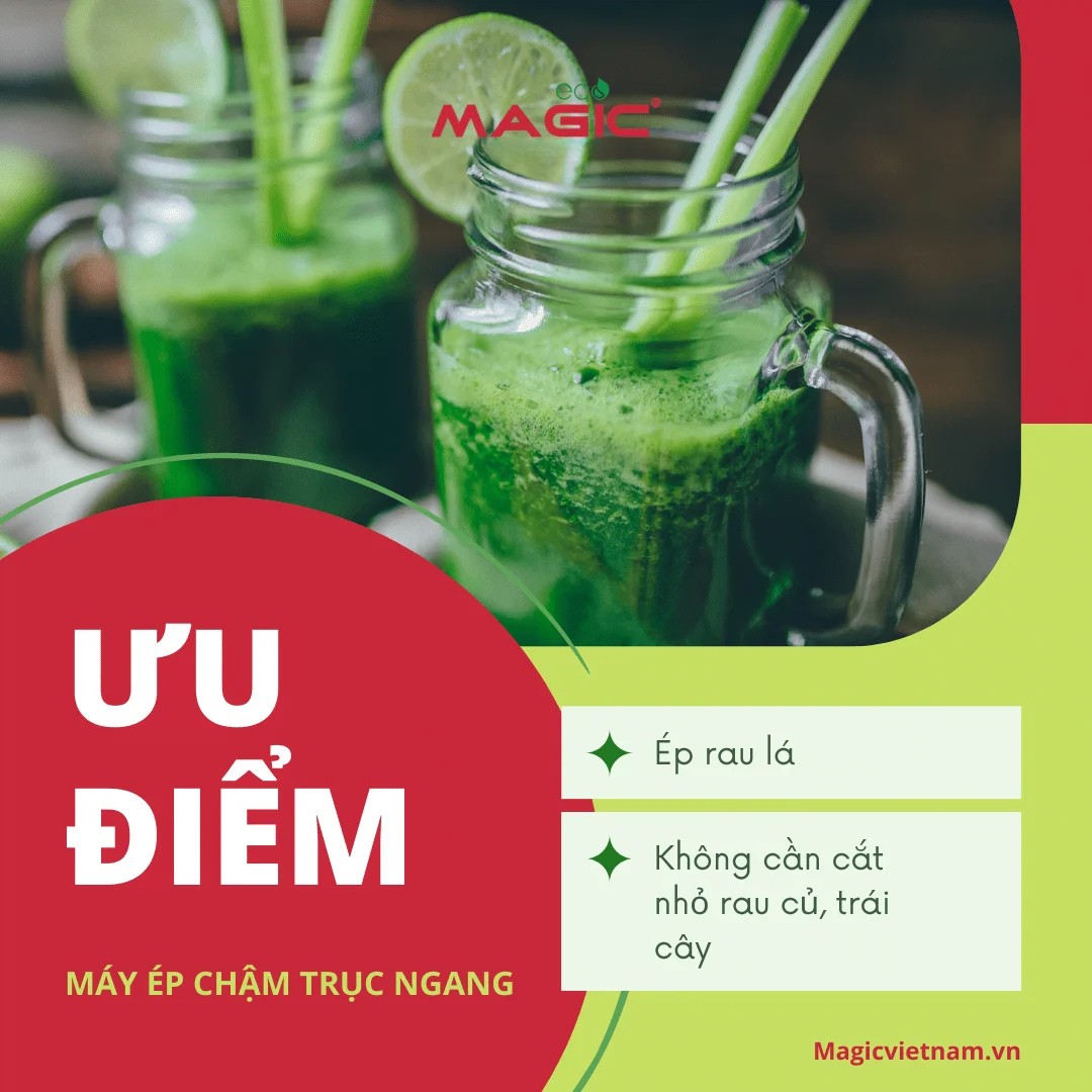 Máy Ép Chậm Trục Ngang Là Gì: Giá, Ưu Điểm, Nhược Điểm 3