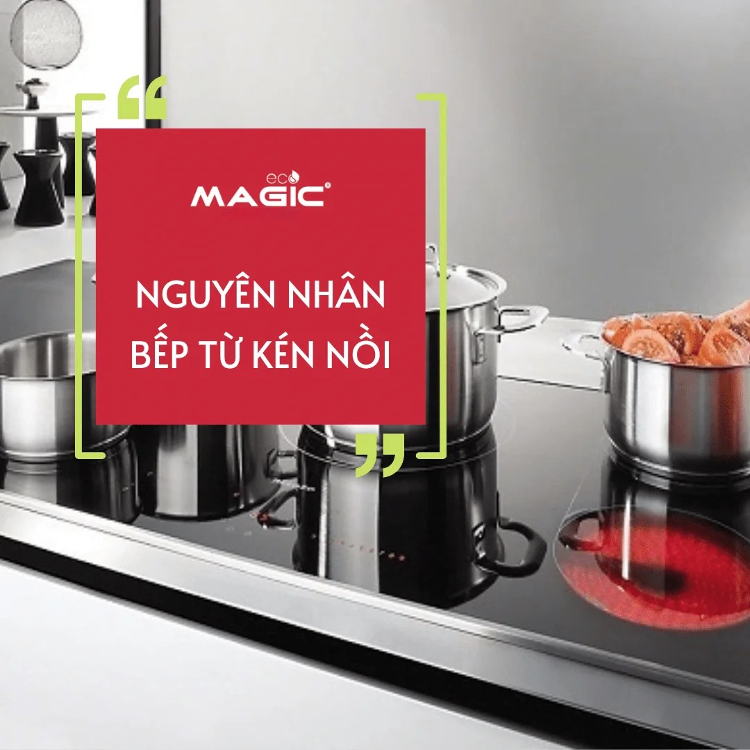 Bếp Điện Từ Có Kén Nồi Không: 5 Cách Chọn Nồi Cho Bếp Từ 2 Bếp Điện Từ Có Kén Nồi Không: 5 Cách Chọn Nồi Cho Bếp Từ 2