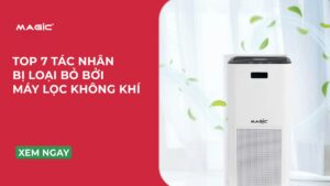 Top 7 Tác Nhân Bị Loại Bỏ Bởi Máy Lọc Không Khí 1