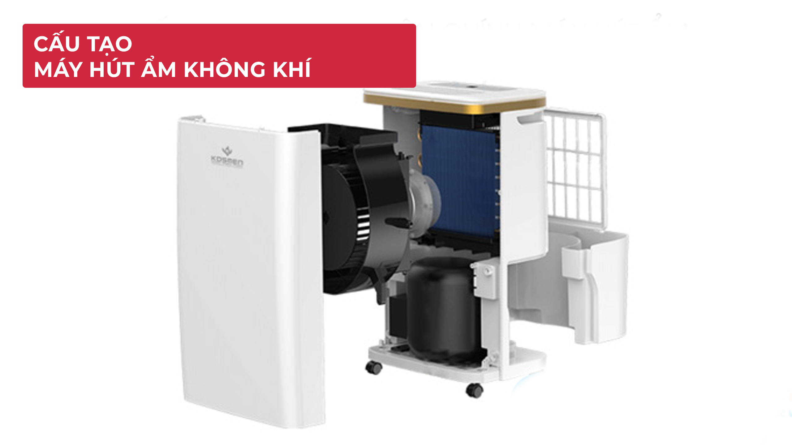 Máy Hút Ẩm Không Khí Là Gì? Làm Sạch Nấm Mốc, Mạt Bụi? 1