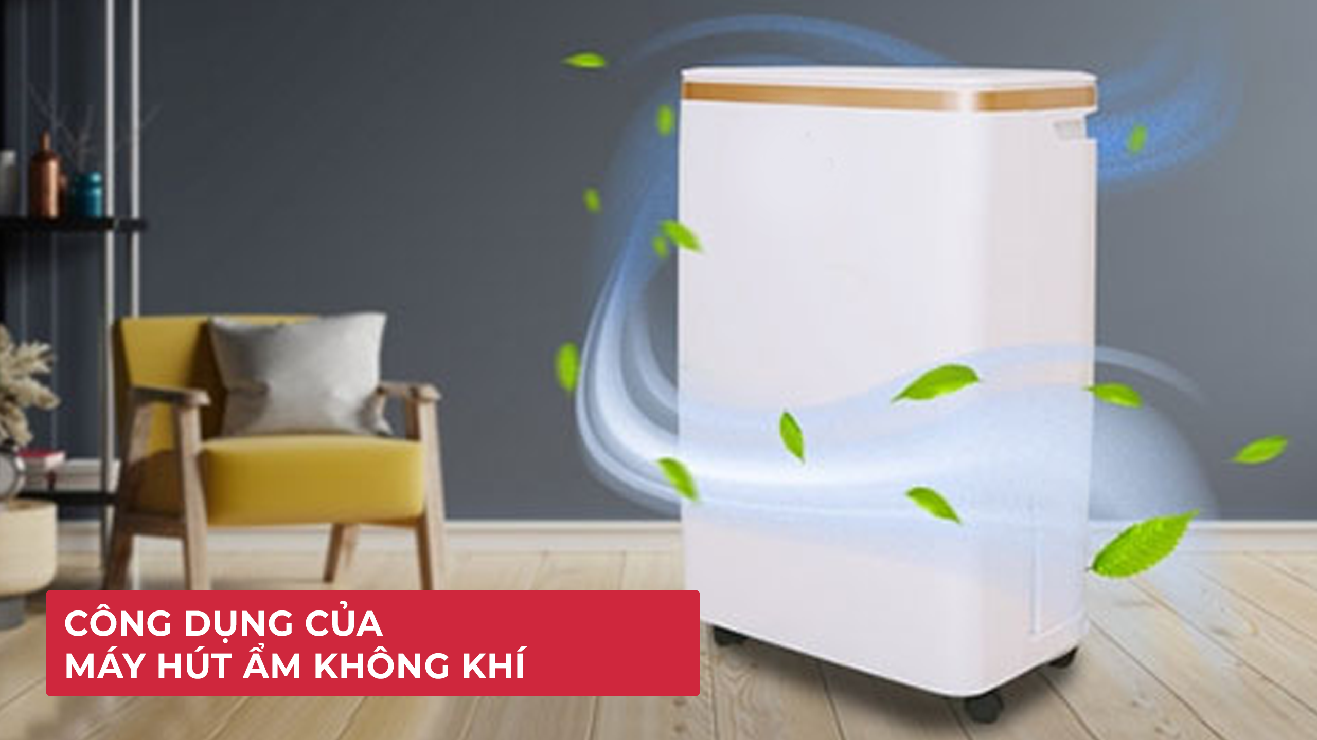 máy hút ẩm không khí