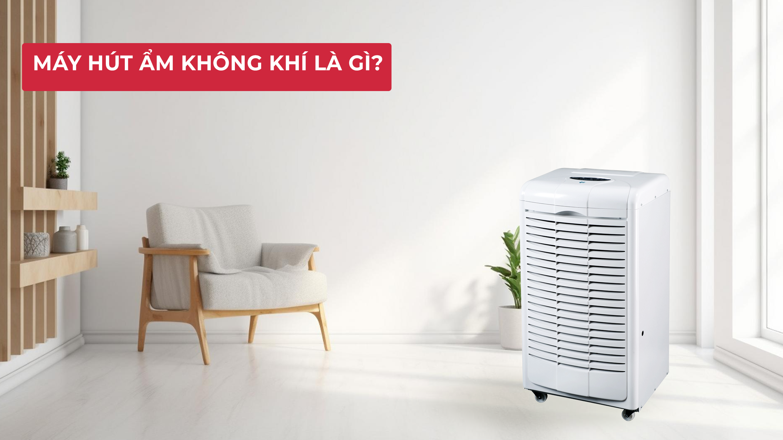 Máy Lọc Không Khí Và Máy Hút Ẩm Không Khí: Nên Mua Loại Nào 1 Máy hút ẩm không khí
