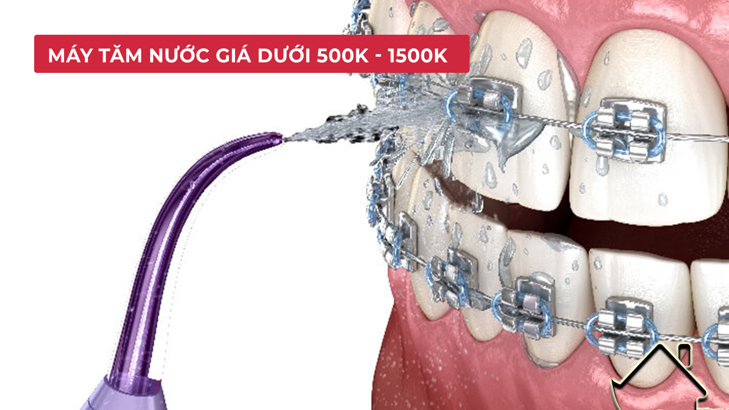 Minh họa tăm nước giá từ 500k đến 1500k