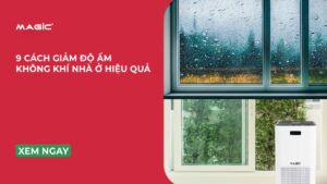 9 Cách Giảm Độ Ẩm Không Khí Nhà Ở Mùa Nồm Nhanh Hiệu Quả 5