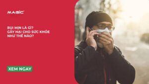 Bụi Mịn Là Gì? Tác Hại Nghiêm Trọng Của Bụi Mịn 9
