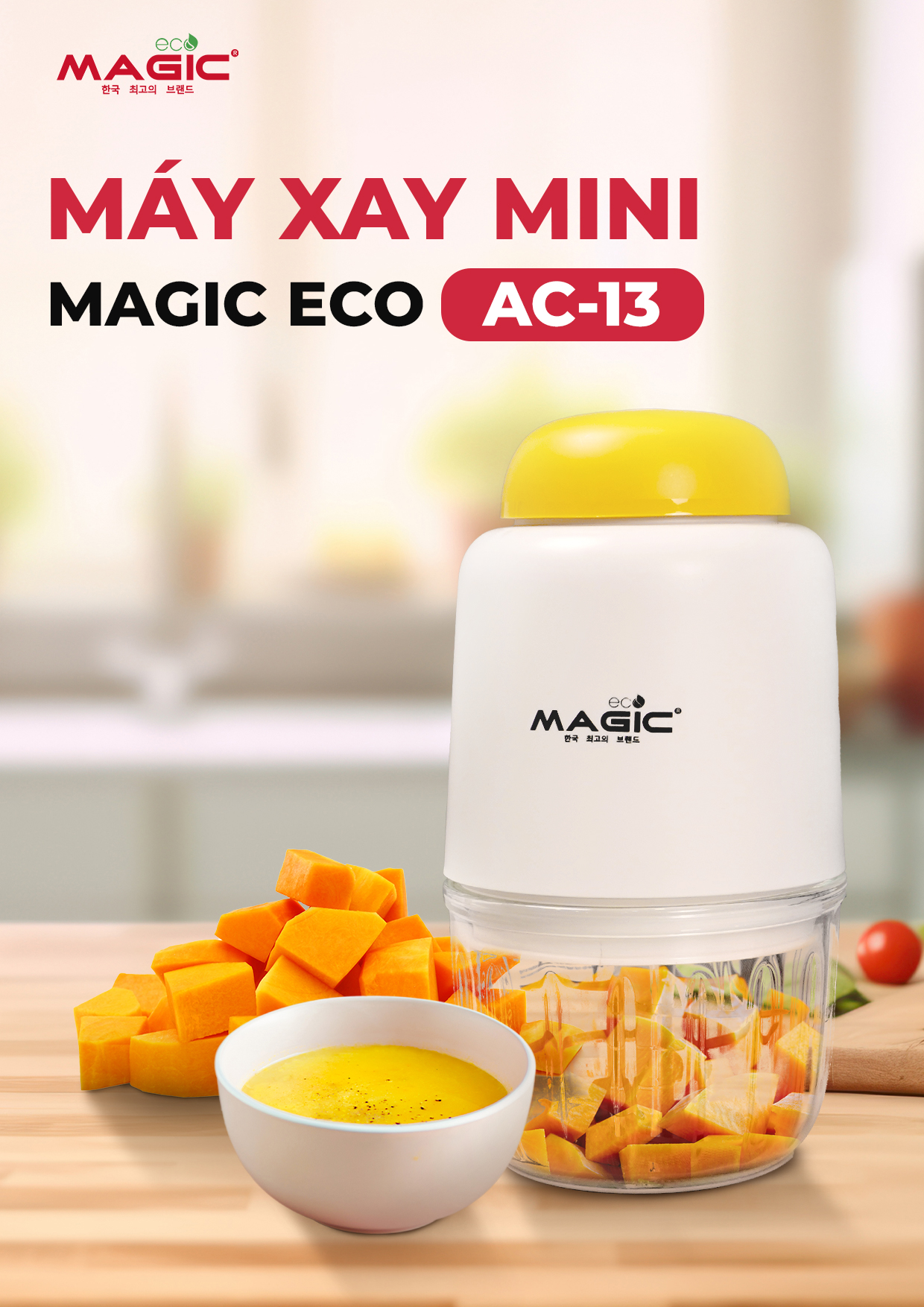Máy Xay Mini MAGIC ECO AC-13 14