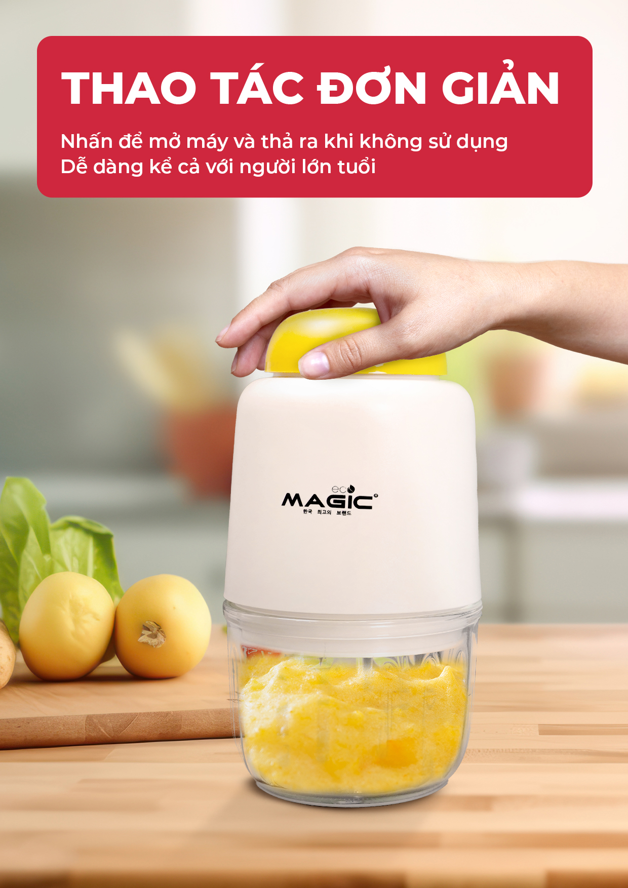 Máy Xay Mini MAGIC ECO AC-13 21