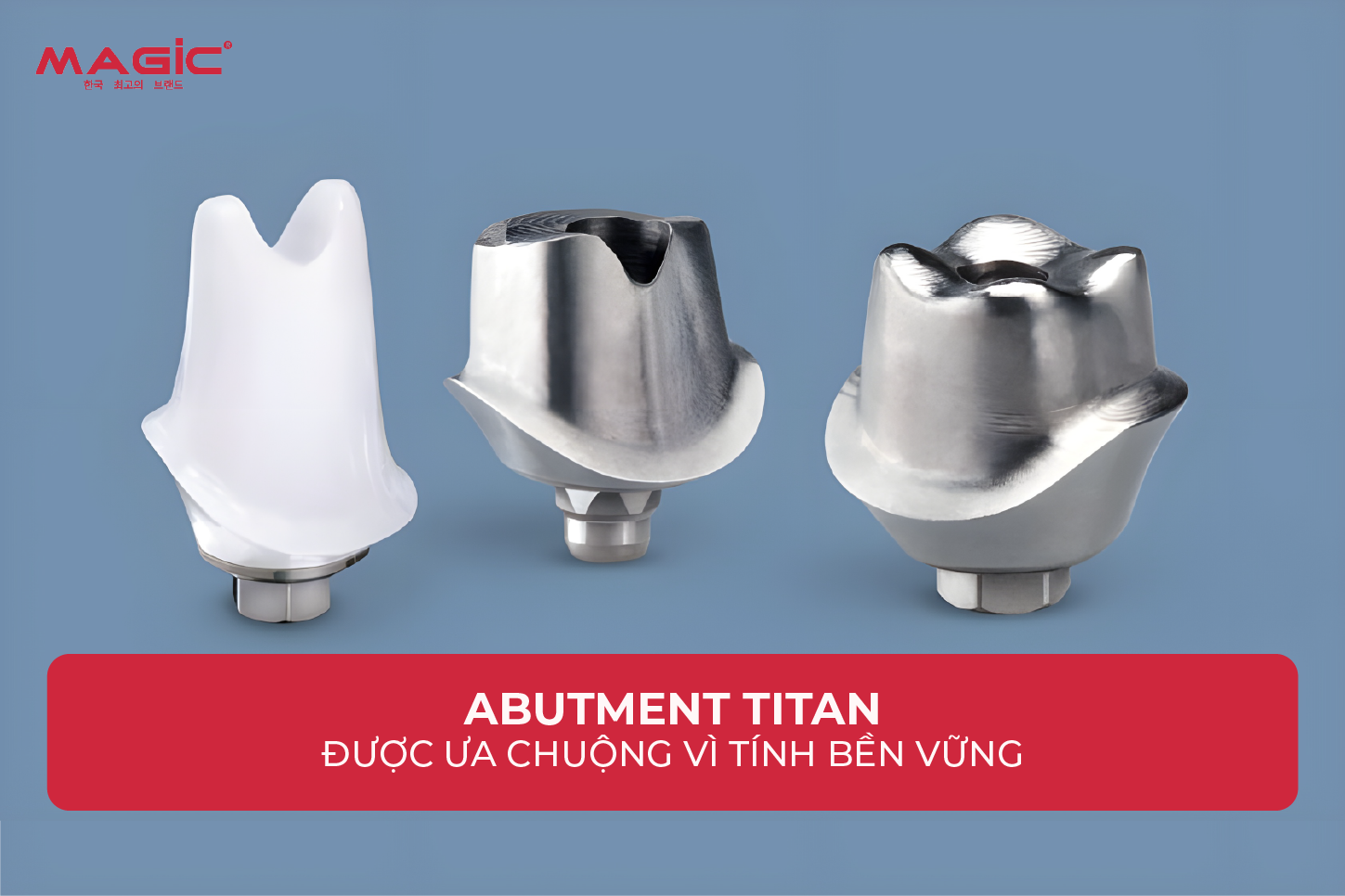 9 Thông Tin Về Abutment Cá Nhân Cần Biết Trước Khi Làm 2