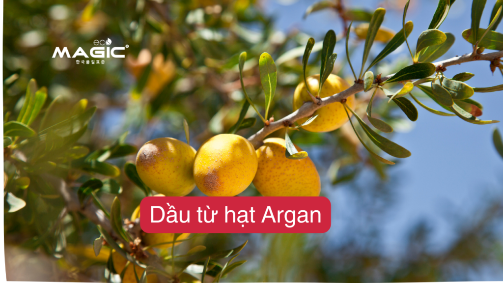Top 9 Dầu Dưỡng Tóc Tự Nhiên Giúp Tóc Bóng, Chắc Khỏe 2 Top 9 Dầu Dưỡng Tóc Tự Nhiên Giúp Tóc Bóng, Chắc Khỏe 2