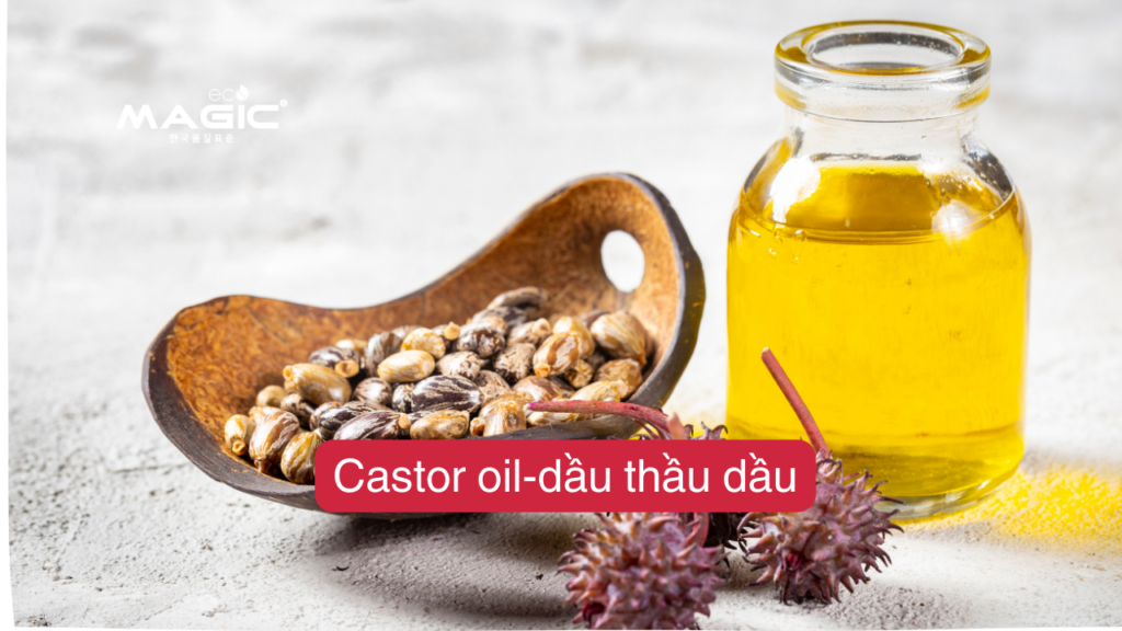 Top 9 Dầu Dưỡng Tóc Tự Nhiên Giúp Tóc Bóng, Chắc Khỏe 4 Top 9 Dầu Dưỡng Tóc Tự Nhiên Giúp Tóc Bóng, Chắc Khỏe 4