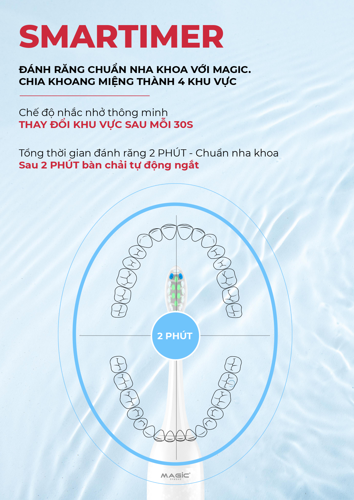 Bàn chải điện B-26 16