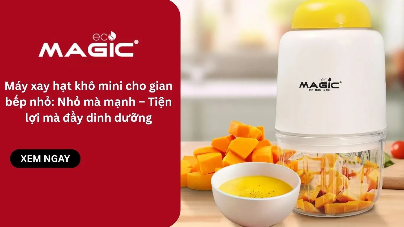 Máy xay hạt khô mini cho gian bếp nhỏ: Nhỏ mà mạnh – Tiện lợi mà đầy dinh dưỡng 1
