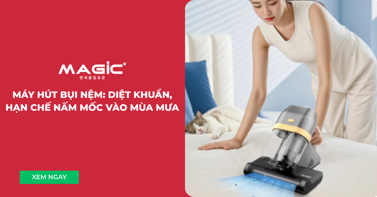 Máy Hút Bụi Nệm: Diệt Khuẩn, Hạn Chế Nấm Mốc Vào Mùa Mưa 1 máy hút bụi nệm 002