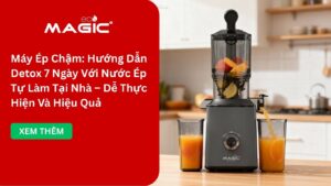 Máy Ép Chậm: Hướng Dẫn Detox 7 Ngày Với Nước Ép Tự Làm Tại Nhà – Dễ Thực Hiện Và Hiệu Quả