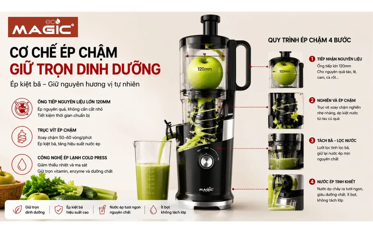 Máy Ép Chậm Miệng To: Bí Quyết Chọn Mua, Đánh Giá Chi Tiết Từ A-Z 2 Sơ đồ minh họa cơ chế hoạt động của máy ép chậm miệng to, cho thấy quá trình ép nguyên quả và tách bã hiệu quả.