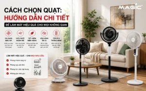 Tổng quan các loại quạt phổ biến trong không gian sống hiện đại, bao gồm quạt cây, quạt treo tường, quạt bàn và quạt trần, minh họa giải pháp làm mát đa dạng.