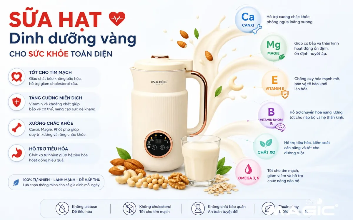 Đồ họa minh họa dưỡng chất Omega-3, chất xơ, Vitamin E, Magie trong sữa hạt và tác dụng của chúng lên tim mạch và mạch máu khỏe mạnh.
