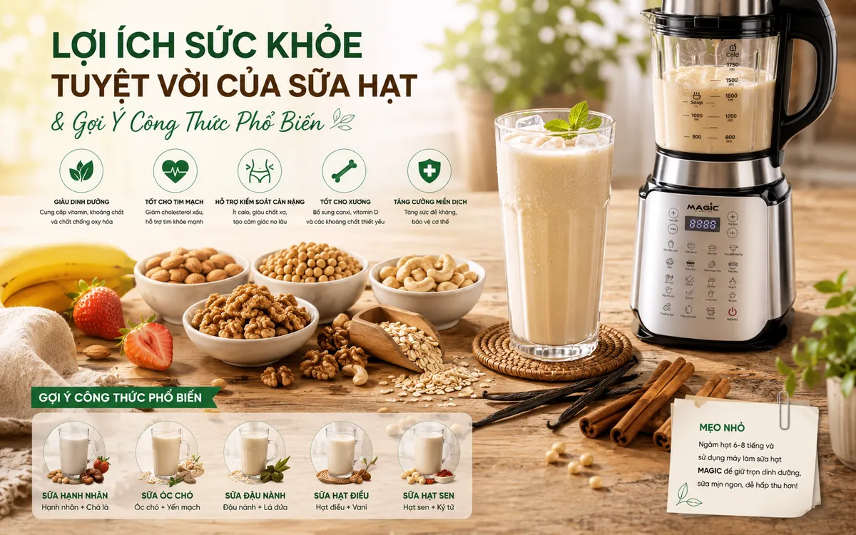 Máy Làm Sữa Hạt Nào Tốt Nhất 2026? Đánh Giá Chi Tiết & Kinh Nghiệm Chọn Mua Chuẩn Từ Chuyên Gia 2 Hình ảnh minh họa các loại hạt khô như óc chó, hạnh nhân, hạt điều và ly sữa hạt thơm ngon, bổ dưỡng, thể hiện lợi ích sức khỏe tuyệt vời từ sữa hạt.