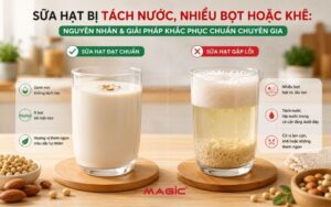 Sữa Hạt Bị Tách Nước, Nhiều Bọt Hoặc Khê: Nguyên Nhân & Giải Pháp Khắc Phục Chuẩn Chuyên Gia 1