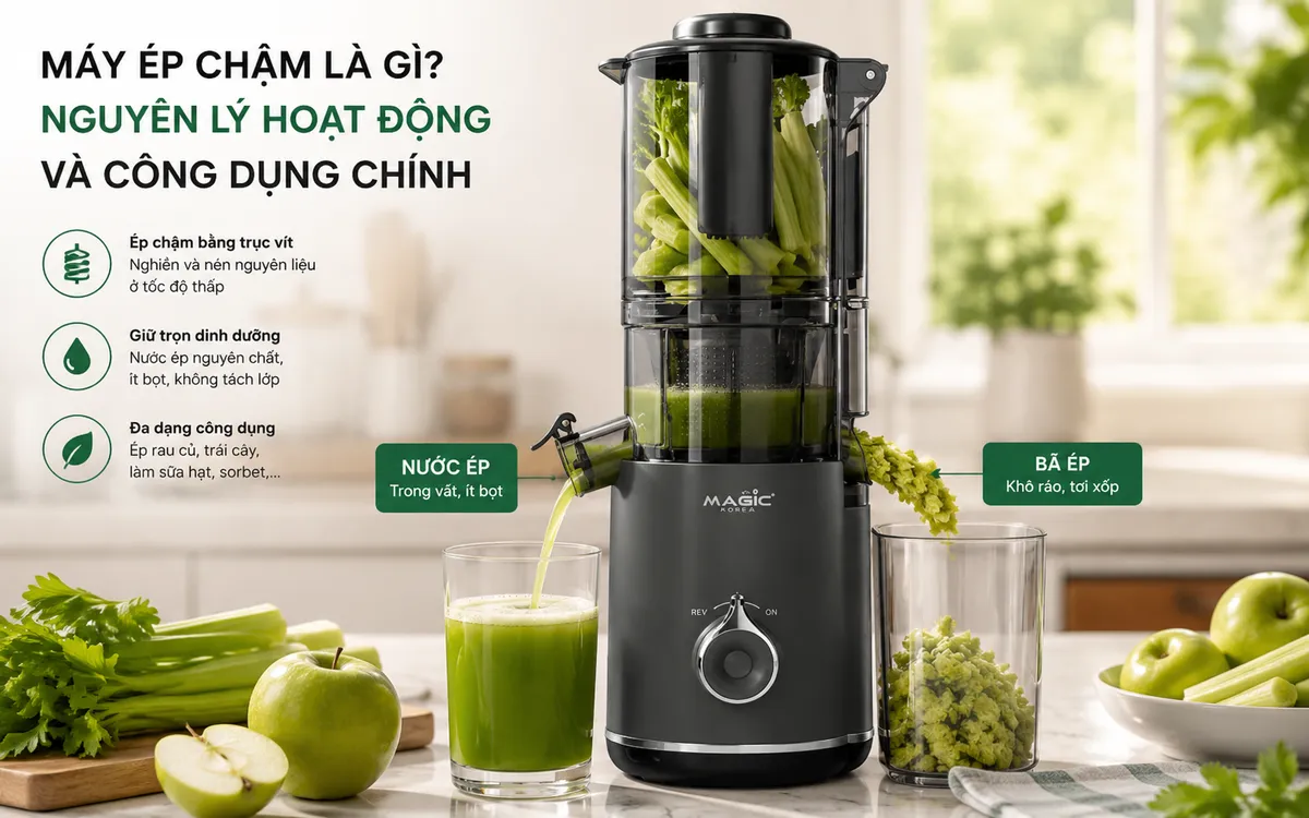 Cận cảnh máy ép chậm đang ép cần tây hoặc táo, minh họa nguyên lý hoạt động, dòng nước ép tinh khiết và bã khô, giúp hiểu rõ máy ép chậm là gì.
