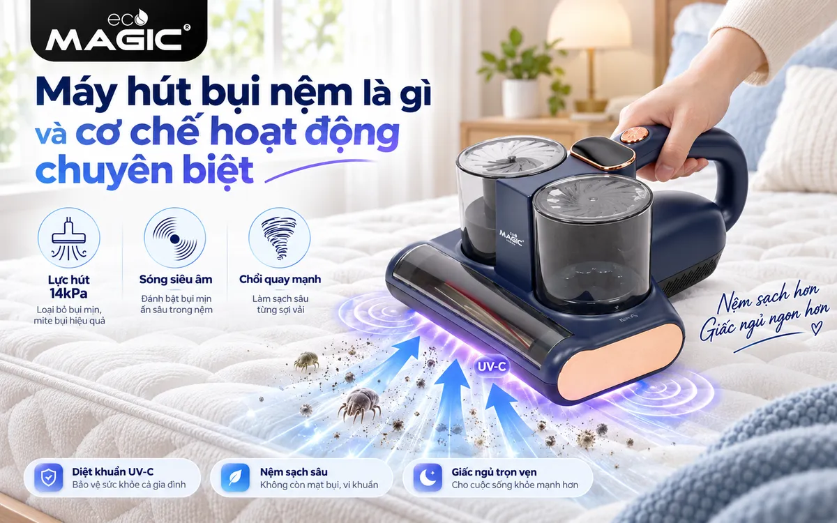 Máy Hút Bụi Nệm Có Cần Thiết Không? Phân Tích Chuyên Sâu Từ A-Z 3 Hình ảnh máy hút bụi nệm đang hoạt động trên nệm, minh họa cơ chế hút mạnh, đập rung và diệt khuẩn bằng tia UV-C, làm sạch sâu nệm hiệu quả.