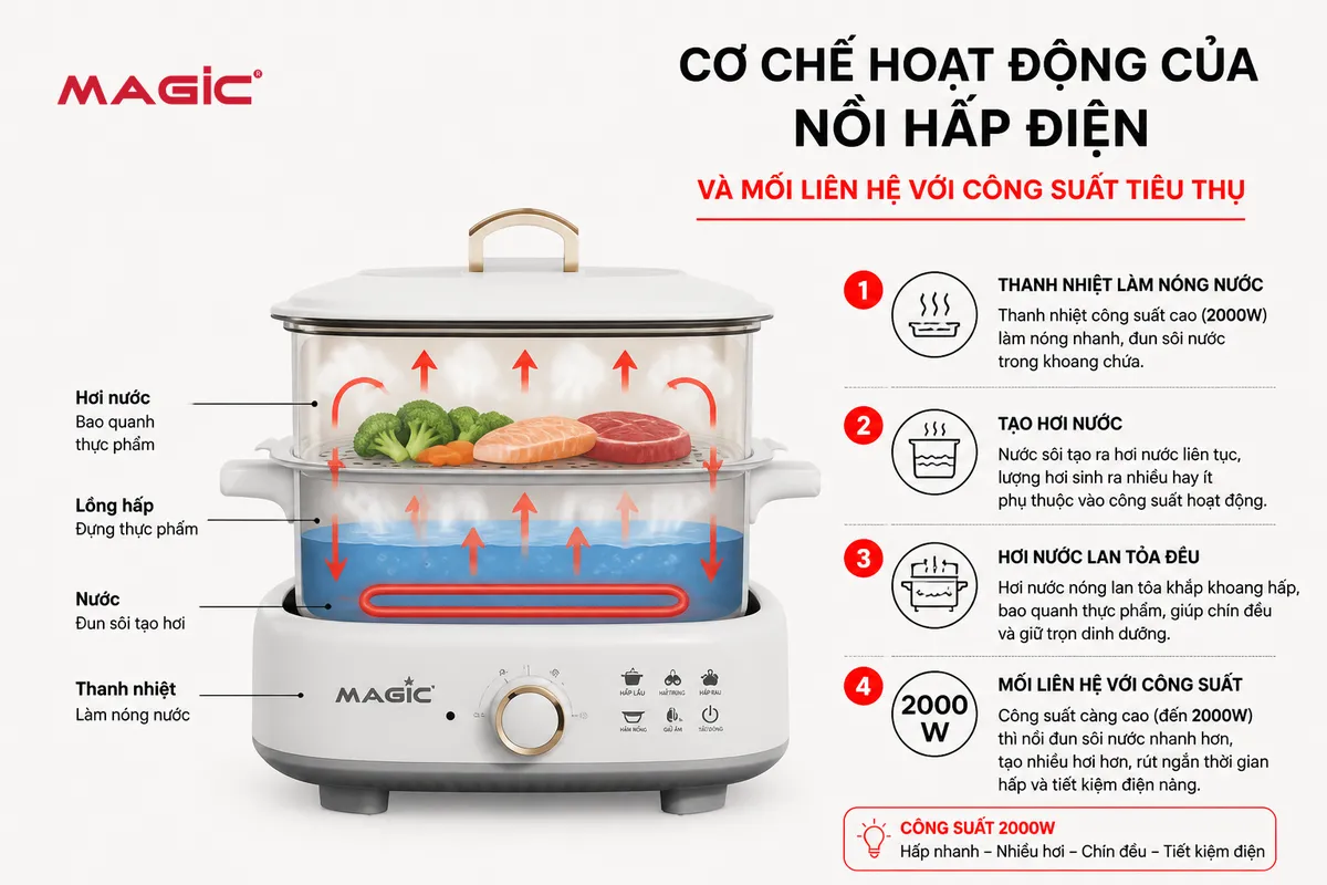 Nồi Hấp Điện Có Tốn Nhiều Điện Không? Giải Mã Mức Tiêu Thụ Điện Và Bí Quyết Tiết Kiệm Tối Ưu 1 Sơ đồ minh họa chi tiết cơ chế hoạt động của nồi hấp điện, từ thanh nhiệt làm nóng nước đến hơi nước làm chín thực phẩm, giúp hiểu rõ nồi hấp điện có tốn điện không.