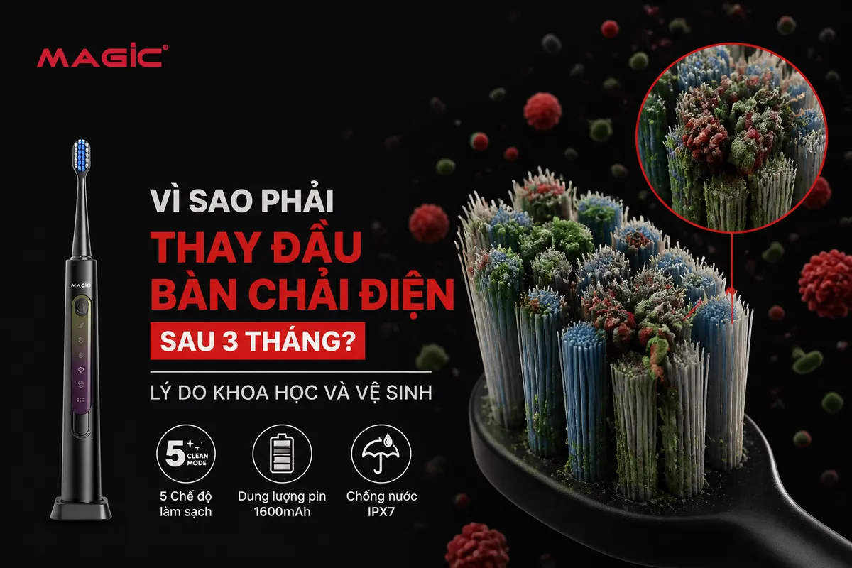 Bao Lâu Thay Đầu Bàn Chải Điện Để Răng Miệng Luôn Sạch Khỏe Tối Ưu? Hướng Dẫn Chi Tiết Từ Chuyên Gia Magic Eco! 5 Bao Lâu Thay Đầu Bàn Chải Điện Để Răng Miệng Luôn Sạch Khỏe Tối Ưu? Hướng Dẫn Chi Tiết Từ Chuyên Gia Magic Eco! 4