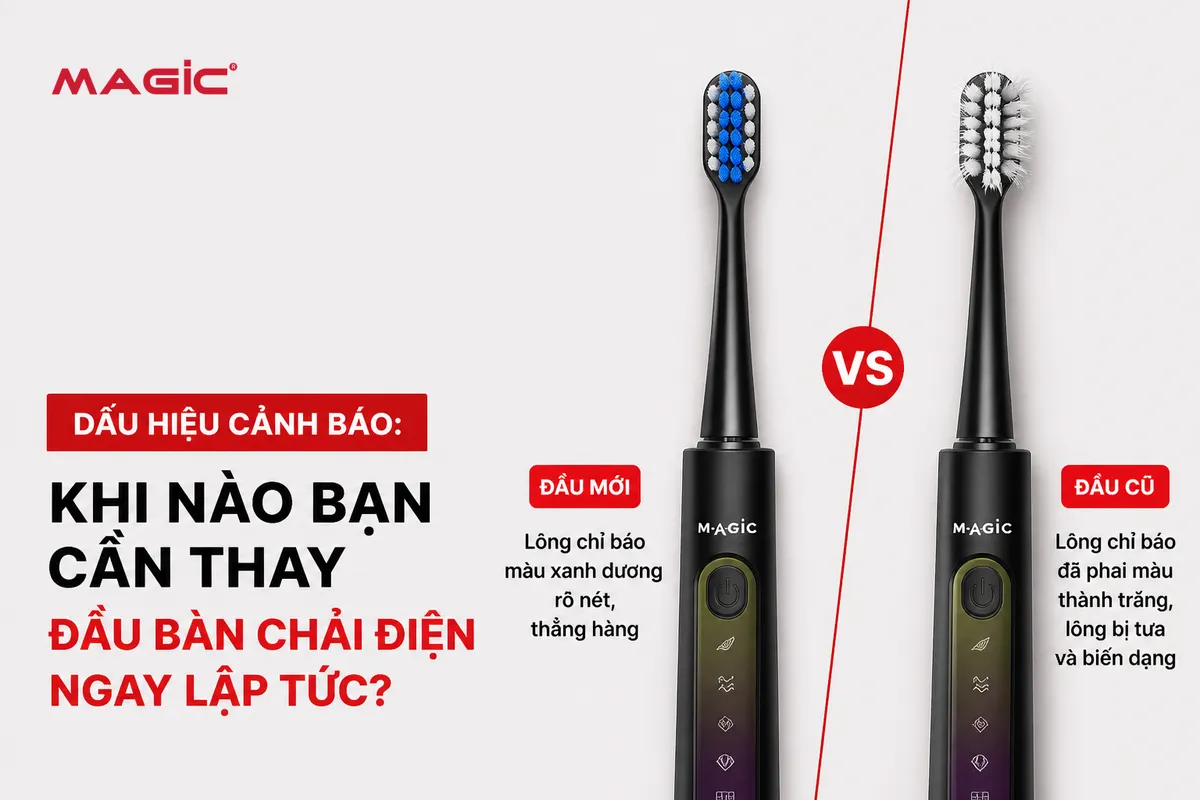 Bao Lâu Thay Đầu Bàn Chải Điện Để Răng Miệng Luôn Sạch Khỏe Tối Ưu? Hướng Dẫn Chi Tiết Từ Chuyên Gia Magic Eco! 2 Bao Lâu Thay Đầu Bàn Chải Điện Để Răng Miệng Luôn Sạch Khỏe Tối Ưu? Hướng Dẫn Chi Tiết Từ Chuyên Gia Magic Eco! 2