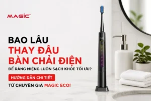 Bao Lâu Thay Đầu Bàn Chải Điện Để Răng Miệng Luôn Sạch Khỏe Tối Ưu? Hướng Dẫn Chi Tiết Từ Chuyên Gia Magic Eco! 1
